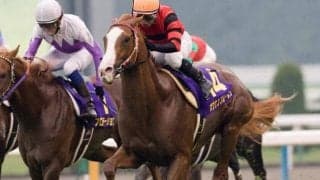 オウケンブルースリが種牡馬引退 08年菊花賞馬 主な産駒にオウケンムーン