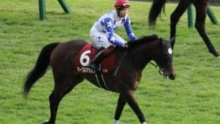 坂路好時計のマーブルマカロン 出来上昇で粘りもアップ