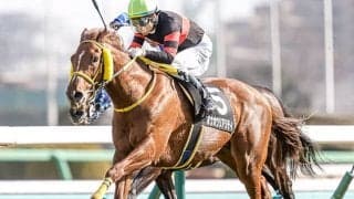 ホウオウリアリティが再び高配提供だ！ 中山芝のモーリス産駒に追い風あり