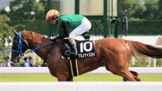 絶好外枠でクリノナイスガイが巻き返す