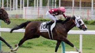 舞台良し！ 動き良し！ 土曜中京8Rはヴァクストゥームの激変があるぞ！