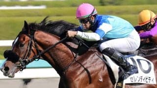 セレンディピティ 一族ゆかりの出世レースからクラシック目指す