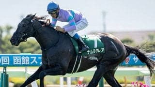 ナムラクレアやウインマーベルなどシルクロードSに17頭