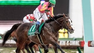 テイエムサウスダンやホウオウアマゾンなど根岸Sに18頭