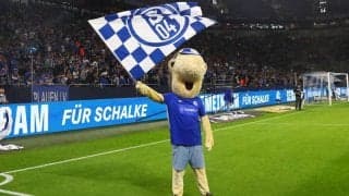 シャルケ、アントワープからスイス人FWフライをレンタルで獲得