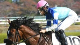 【今日の注目ポイント】中京で新設OPの睦月S 武豊騎手は節目の4400勝まであと2