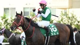 AJCCはベテラン騎手と手が合う伏兵馬に一発の可能性大。年明けの傾向とは異なり、速い展開を予想