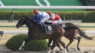 東海Ｓは１番人気の信頼度が高いレース。それでも穴党記者が注目するのは末脚自慢の伏兵２頭