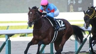 【AJCC予想】気温低下が激走サイン!? 寒さに強い注目馬「3頭」をピックアップ