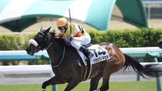 【日曜中山8R】現級3戦目の正直へ ウラカワノキセキが一変決める