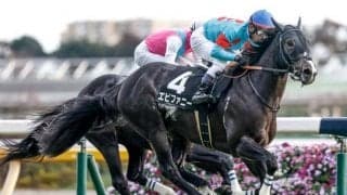 【AJCC予想】前走GI組6頭の取捨がレースの重要なポイント 人気馬の信頼度を解説