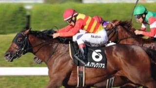 【東海S前日オッズ】ハギノアレグリアスが3.0倍で1番人気