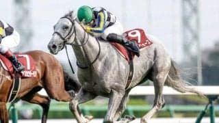 【AJCC前日オッズ】ガイアフォースが2.1倍で1番人気