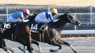 東海Sはロードレガリスが高配の使者!? 中京ダートはハーツクライ産駒が絶好調だ