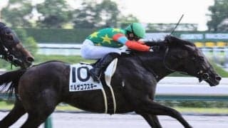 【日曜中京12R】外差し馬場は歓迎 ボルザコフスキーの末脚にかける