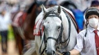 【今日の注目ポイント】AJCCと東海S 武豊騎手は4400勝にリーチ