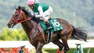 【AJCC予想】GI制覇に向けた始動戦