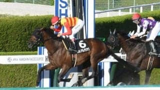 【東海S予想】フェブラリーSの出走権をかけた戦い この舞台を勝てば連勝も?