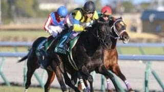 ディープインパクトのラストクロップ、ライトクオンタムは父譲りの末脚で世代の頂点に立てるか