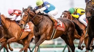 【AJCC予想】中山芝2200ｍは再好走の絶好コース！ 高配当狙いの穴馬はどれだ？