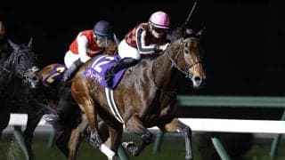 【大井・TCK女王盃枠順確定】ヴァレーデラルナは2枠2番、グランブリッジは7枠7番