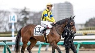 【中山6R新馬戦結果】ハーツクライ産駒ピクシレーションが差し切りV