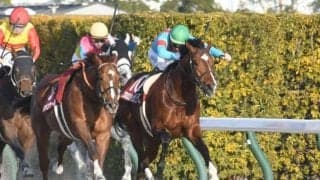 【JRA・WIN5】本日のWIN5は的中104票、配当484万8540円