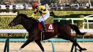 【AJCC】岩田康騎乗 ノースブリッジが重賞2勝目