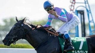 【シルクロードS】ナムラクレア、トウシンマカオらが登録