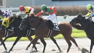 東海Sでヴァンヤールが空馬のままゴール 落馬の荻野極騎手ともに異状なし