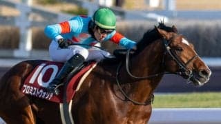【東海S】ムルザバエフ「G1でもチャンス」プロミストウォリアが重賞初制覇