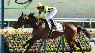 【新馬/中山6R】ハーツクライ産駒 ピクシレーションがデビュー勝ち