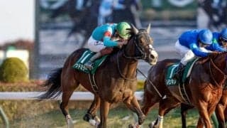 東京開催がスタート 重賞は根岸SとシルクロードS/今週の競馬界の見どころ