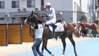 「クラブ初出走・初勝利」インゼルサラブレッドクラブ、新規募集開始  初年度から“重賞出走”達成…さらなる結果を--代表・大住拓哉氏に聞く