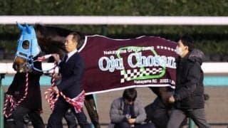 オジュウチョウサンの繋養先がYogiboヴェルサイユリゾートファームに決定