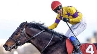 【AJCC】売上は74億7034万7000円で昨年から減少