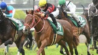 【AI予想・根岸S】本命候補は初ダート!? 混戦を断ち切る「砂の新星」が誕生か