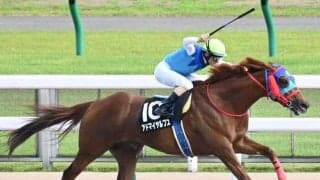 波乱の使者は名牝ダイナカール系!? 今週の重賞に出走する2頭に要注意