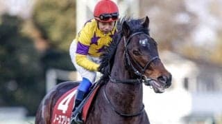 重賞2勝目を挙げたノースブリッジ 活躍馬を出すモーリスの成功パターンを併せ持つ