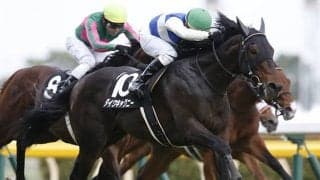 中央の「冠名ダイワ」最後の1頭、衝撃のデビュー戦を見せた重賞2勝馬らがJRA登録を抹消