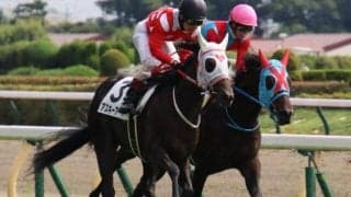小倉競馬に異変あり!? 芝1200mで万馬券を生み出す激走馬の見つけ方とは
