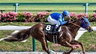 【根岸S想定騎手】レモンポップは戸崎圭太騎手、ギルデッドミラーは三浦皇成騎手