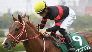 【根岸S】初ダートのホウオウアマゾン 20年Vの先輩モズアスコットに続けるか