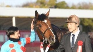 キャリアわずか7戦の6歳馬 度重なるアクシデントを超えて重賞ウィナーの仲間入り
