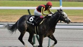 マッドクールが破竹の5連勝なるか シルクロードSを勝てば“ほぼGI級”のデータあり