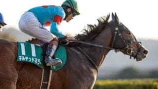 【根岸S展望】フェブラリーSの前哨戦、あの馬の連勝に期待したい