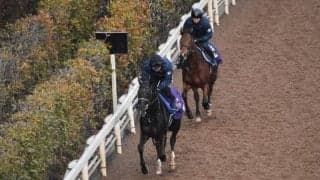 キラーアビリティなど、先週の入厩情報/栗東トレセンニュース