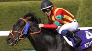 キンシャサノキセキが種牡馬引退 10＆11年に高松宮記念を連覇