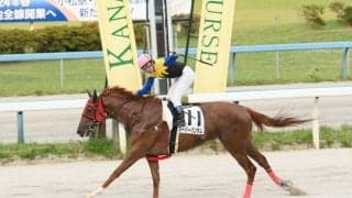 金沢競馬年度代表馬はスーパーバンタム