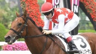  天国の祖母シーイズトウショウに捧げる一戦 新馬戦で後のGI馬を負かした若駒が2勝目へ